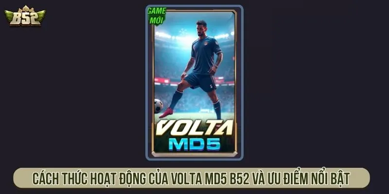 Volta MD5 B52