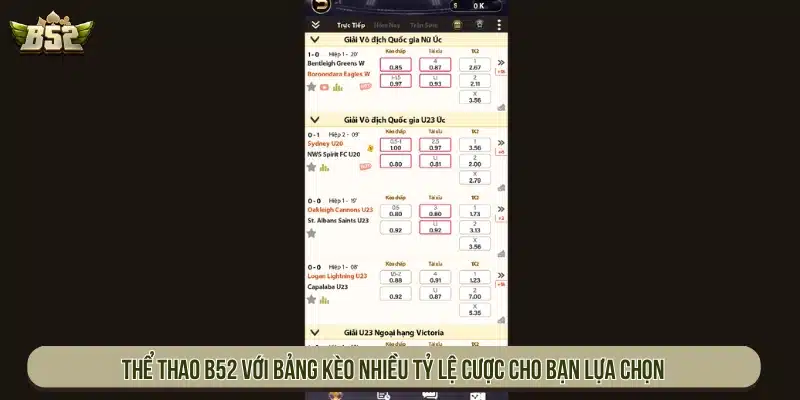Thể thao B52 với bảng kèo nhiều tỷ lệ cược cho bạn lựa chọn